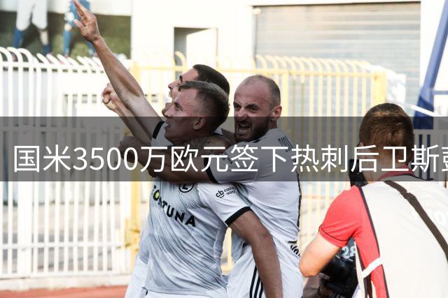 国米3500万欧元签下热刺后卫斯彭斯